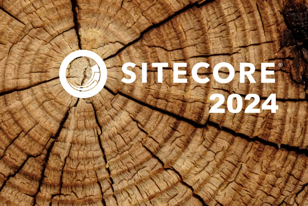 Sitecore.20241129.114115.log