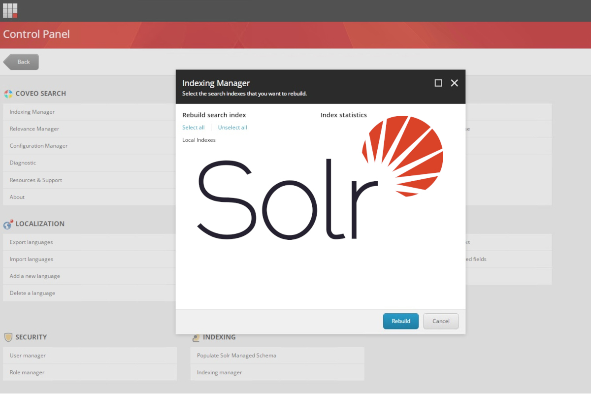 Troubleshooting Sitecore Indexing with SOLR: Common Issues and Solutions